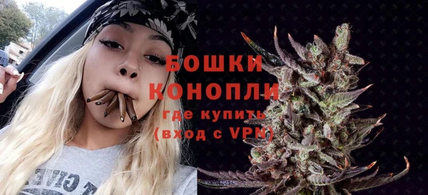 прущие грибы Верхний Тагил