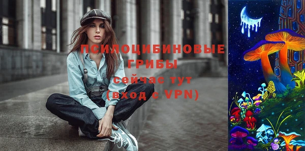 крисы Верхнеуральск