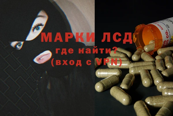 прущие грибы Верхний Тагил