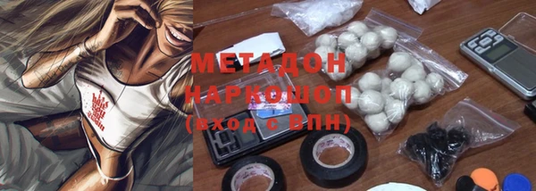 прущие грибы Верхний Тагил