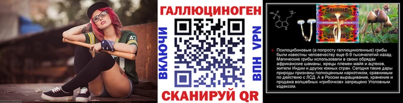 Галлюциногенные грибы Psilocybe  Камень-на-Оби 
